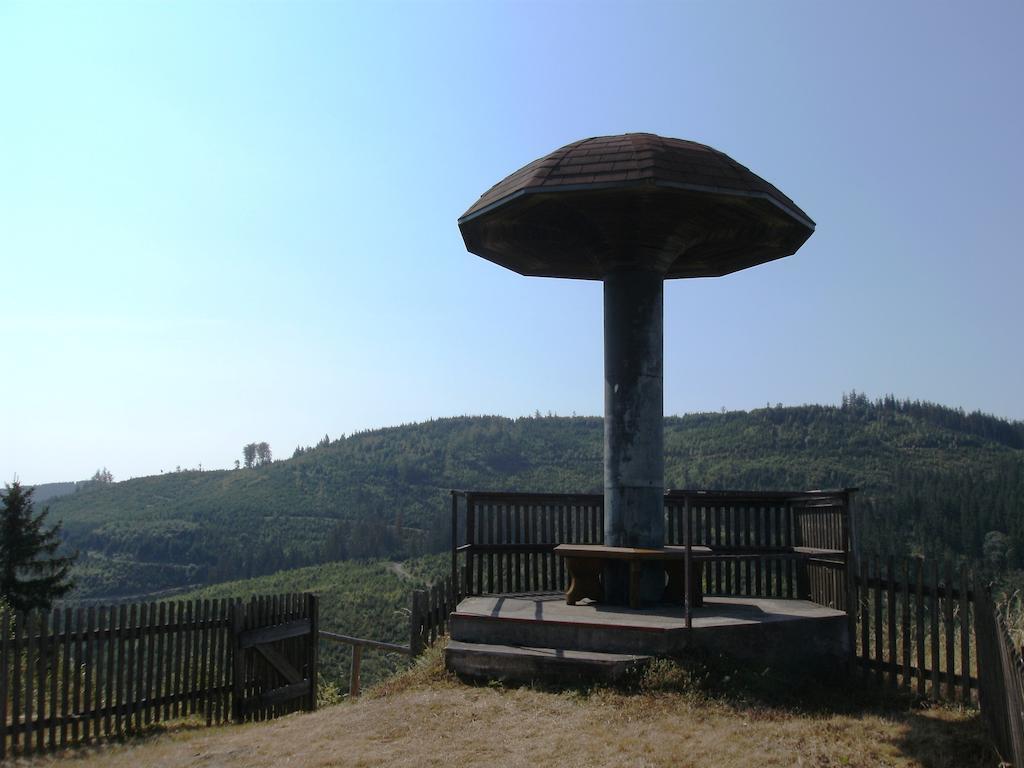 Gasthof Rodachtal Mit Gaestehaus Katharina Schwarzenbach am Wald Ngoại thất bức ảnh