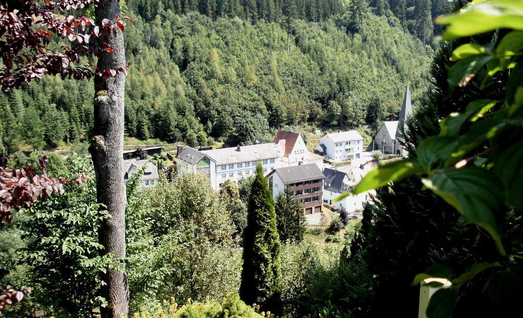 Gasthof Rodachtal Mit Gaestehaus Katharina Schwarzenbach am Wald Ngoại thất bức ảnh